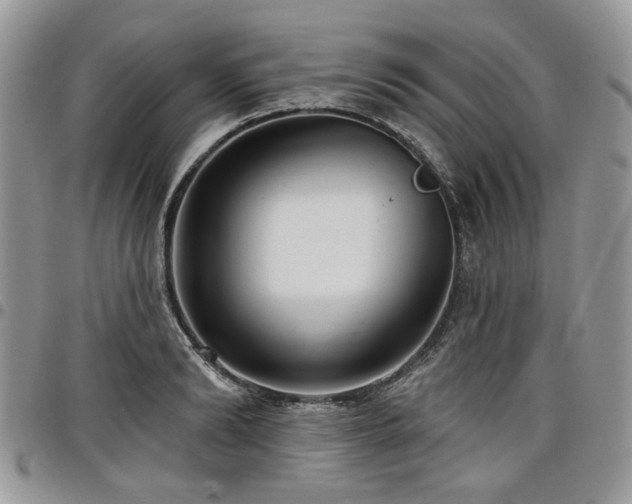 X0000098010894200803281309