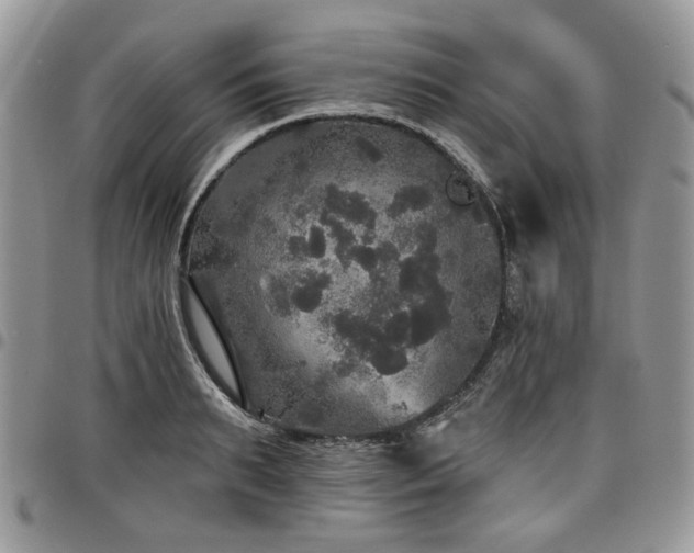 X0000098010895200803281309