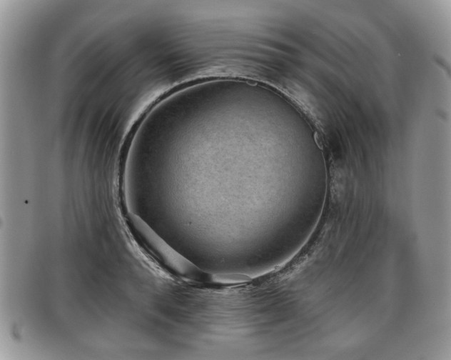 X0000098010896200803281309