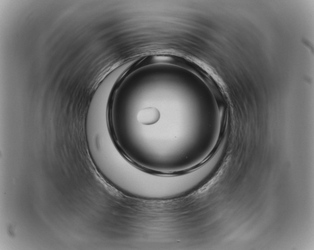 X0000098010897200803281309