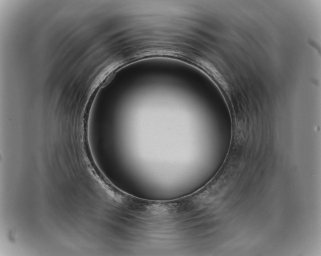 X0000098010898200803281309