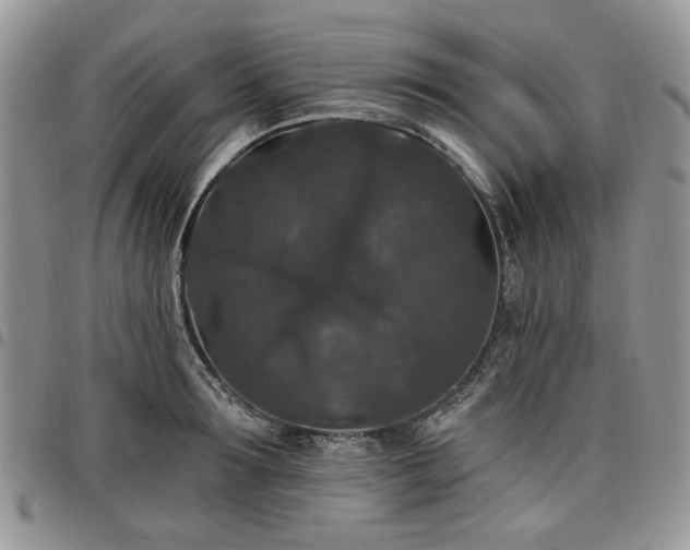 X0000098010899200803281309