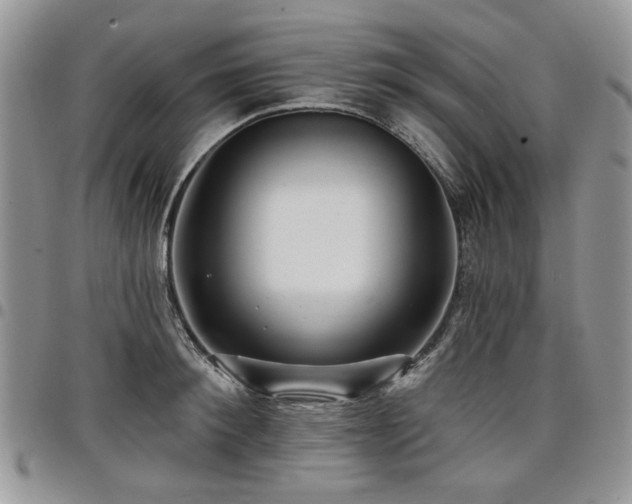 X0000098010900200803281309