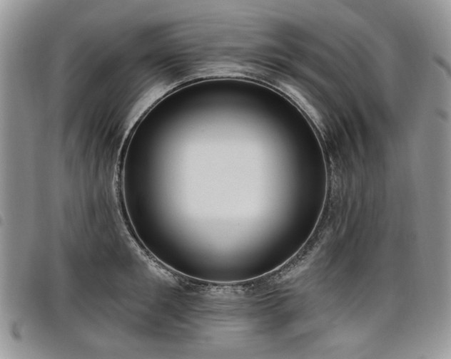 X0000098010901200803281309