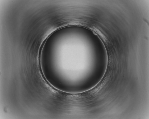 X0000098010902200803281309