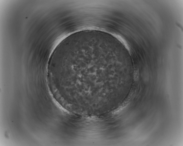 X0000098010903200803281309