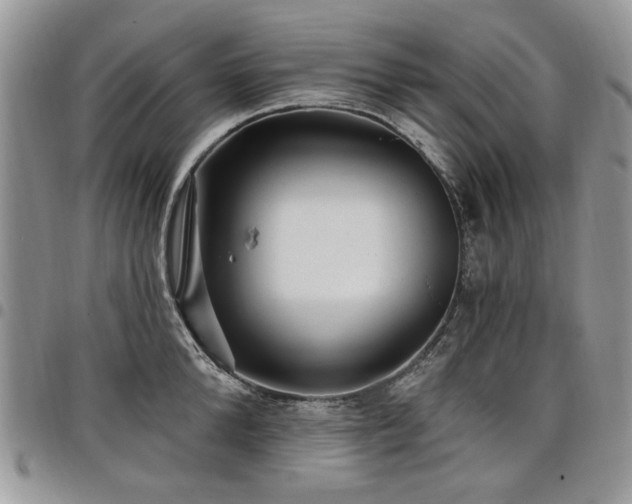 X0000098010904200803281309