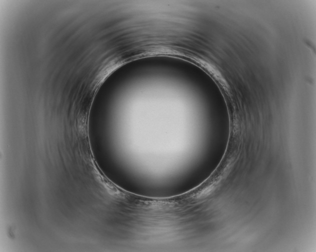 X0000098010905200803281309