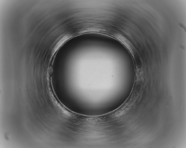 X0000098010906200803281309