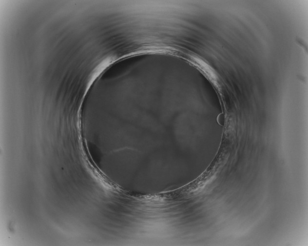 X0000098010907200803281309