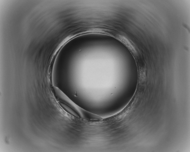 X0000098010908200803281309