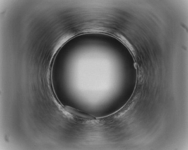 X0000098010909200803281309