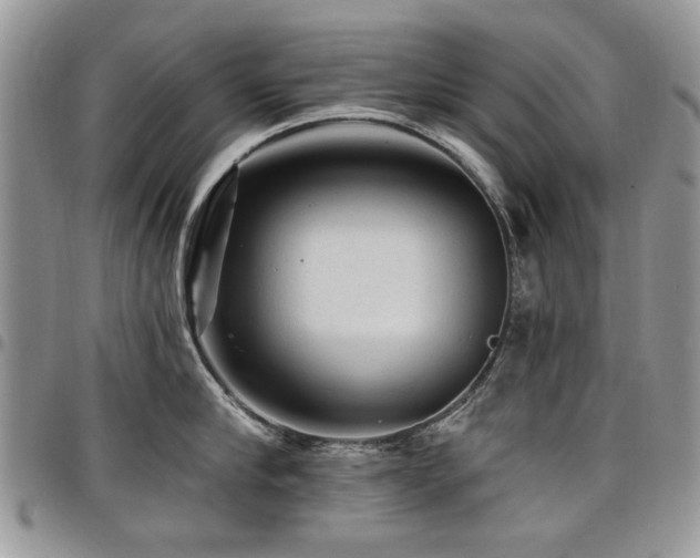 X0000098010910200803281309