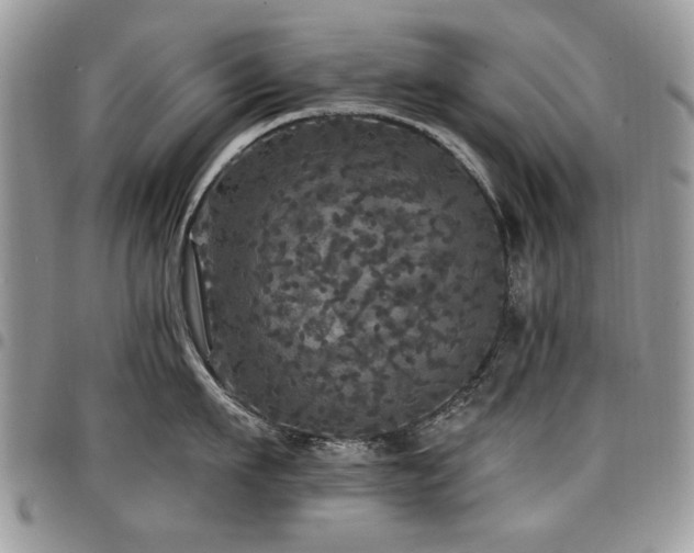 X0000098010911200803281309