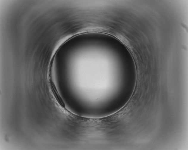 X0000098010912200803281309