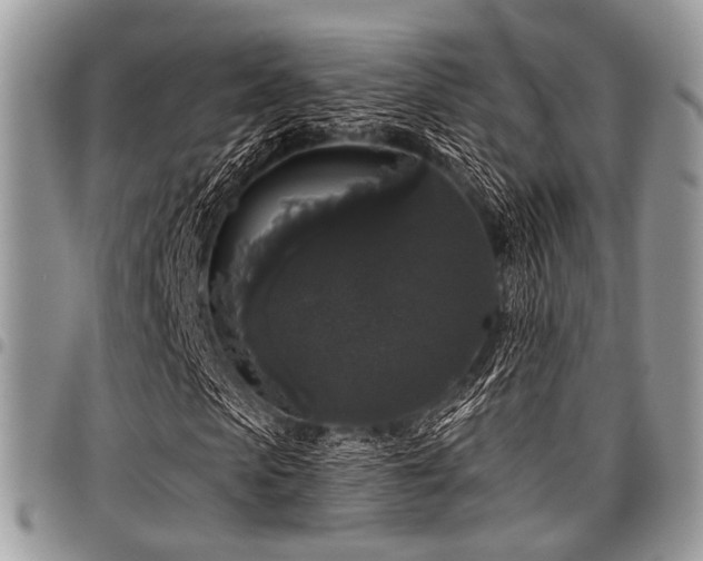 X0000098010913200803281309