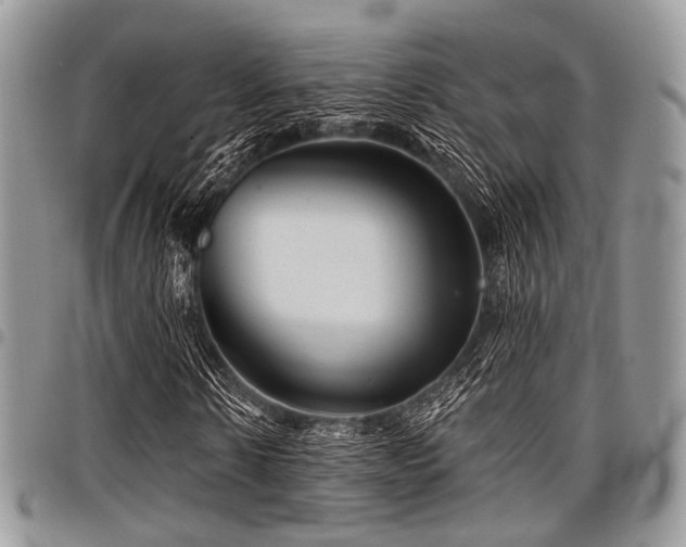 X0000098010914200803281309