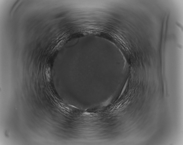 X0000098010915200803281309