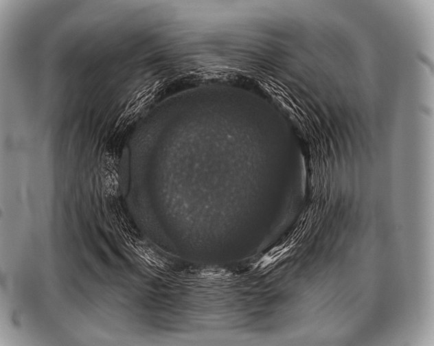 X0000098010916200803281309