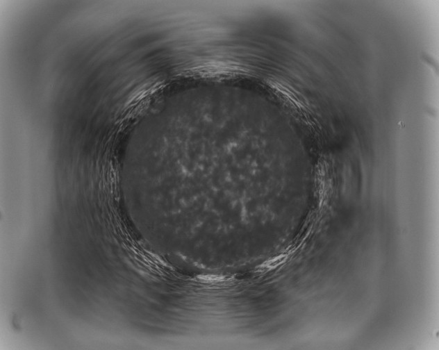 X0000098010917200803281309