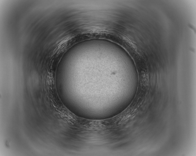 X0000098010918200803281309