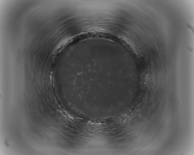 X0000098010919200803281309