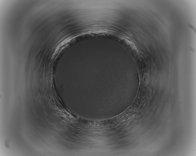 X0000098010920200803281309