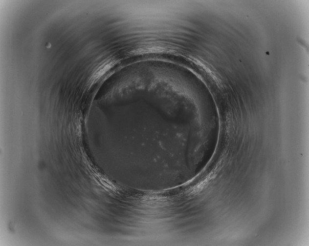 X0000098010921200803281309