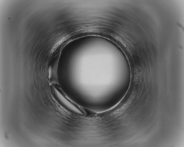 X0000098010922200803281309