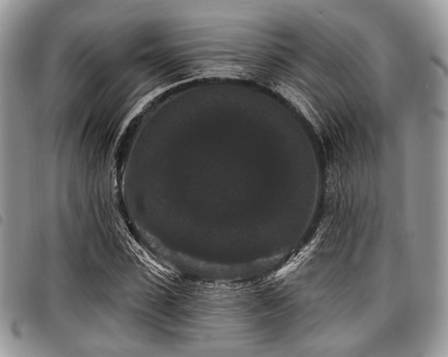 X0000098010923200803281309