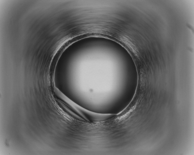 X0000098010924200803281309