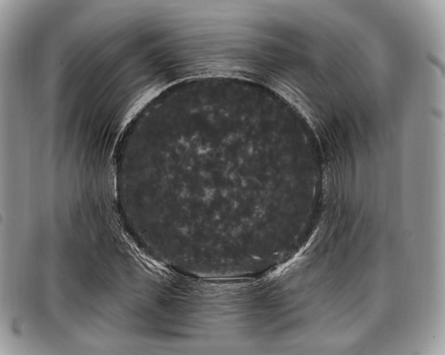 X0000098010925200803281309