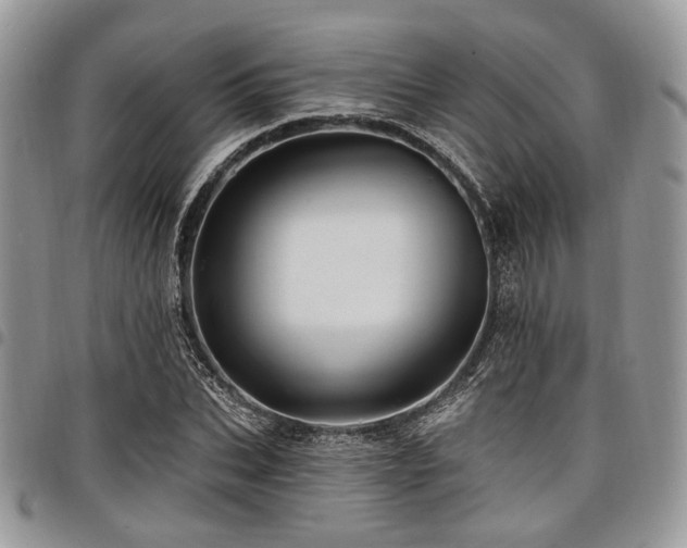 X0000098010927200803281309