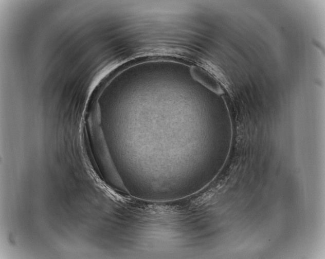 X0000098010928200803281309