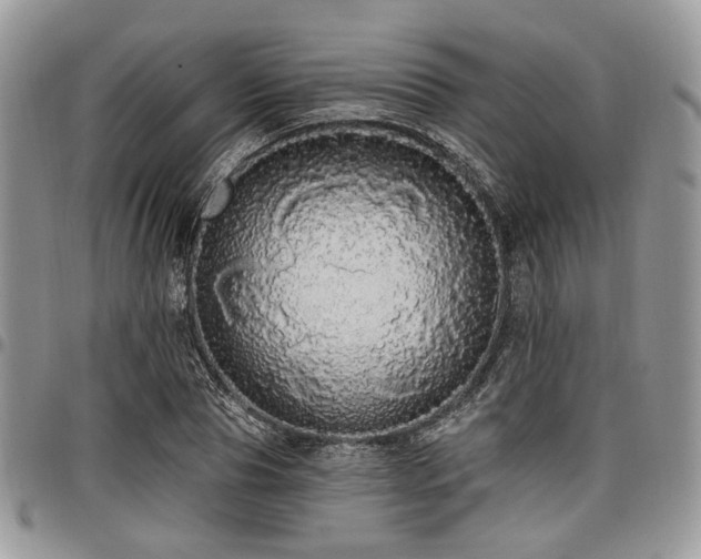 X0000098010929200803281309