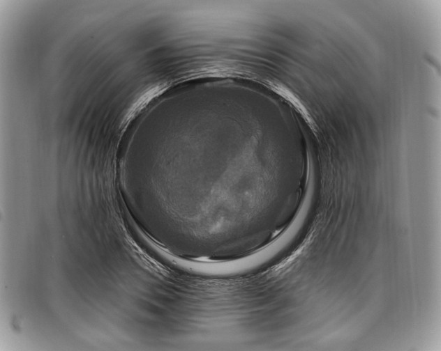 X0000098010930200803281309