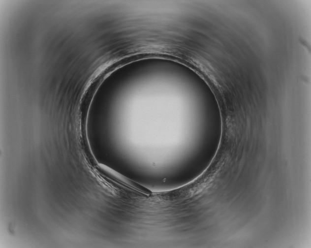 X0000098010931200803281309