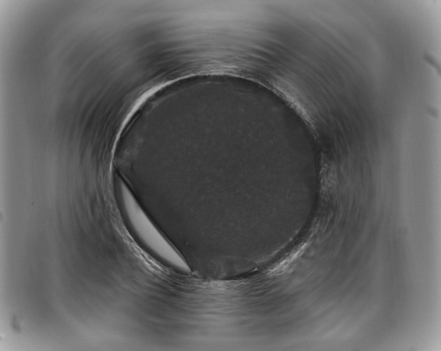 X0000098010932200803281309