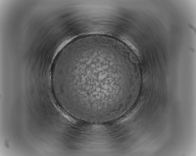 X0000098010933200803281309