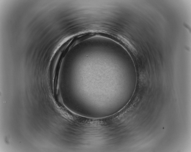 X0000098010934200803281309