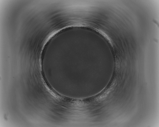 X0000098010935200803281309