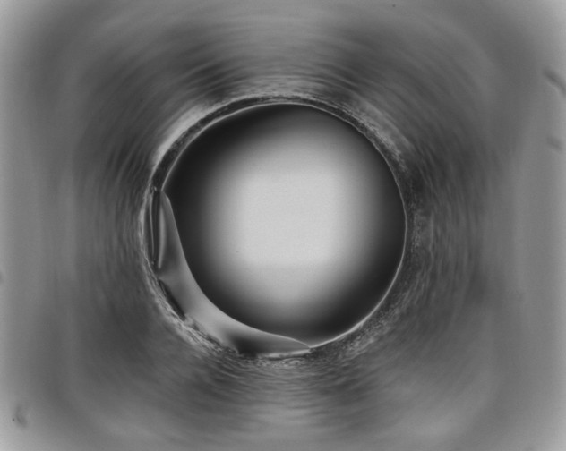 X0000098010936200803281309