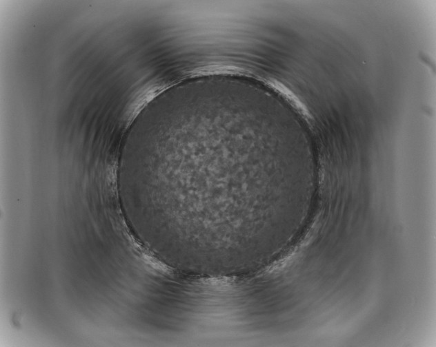 X0000098010937200803281309