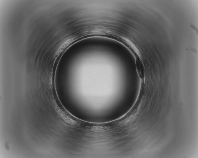 X0000098010938200803281309