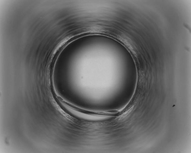 X0000098010939200803281309