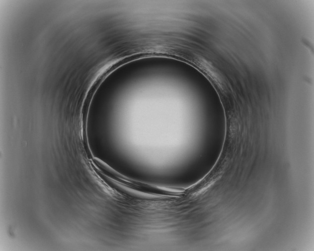 X0000098010940200803281309