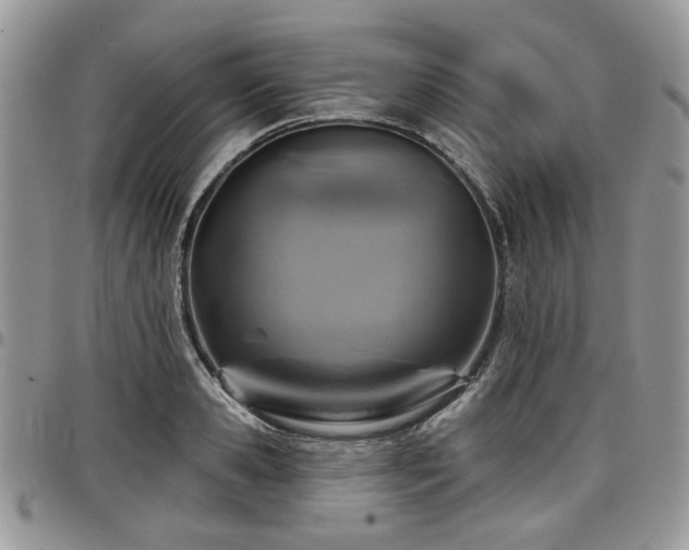 X0000098010941200803281309