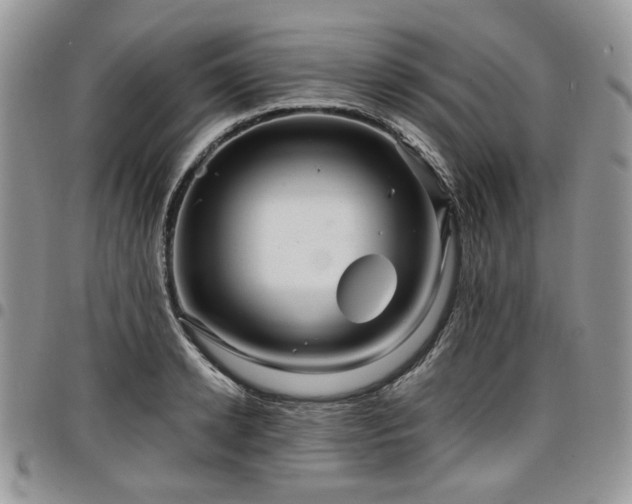 X0000098010942200803281309