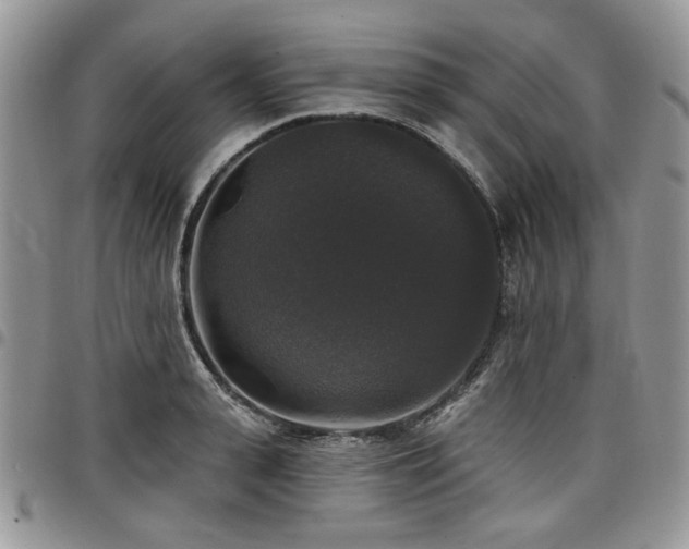 X0000098010943200803281309