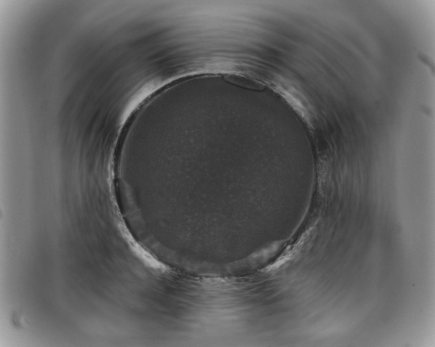 X0000098010944200803281309